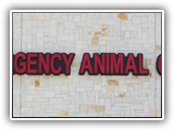 animal_emergency